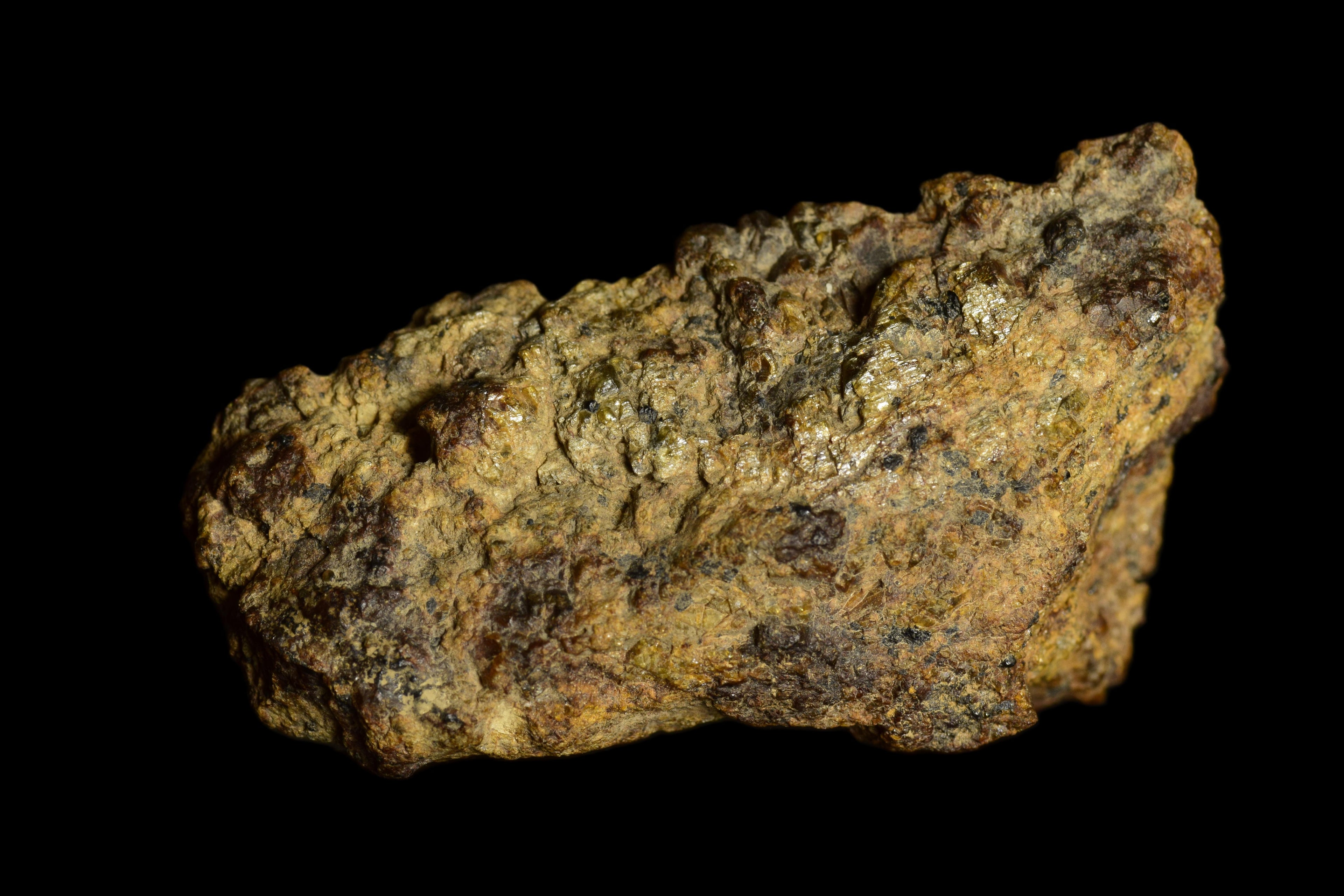 NWA 13692 Diogenite 32.96  G