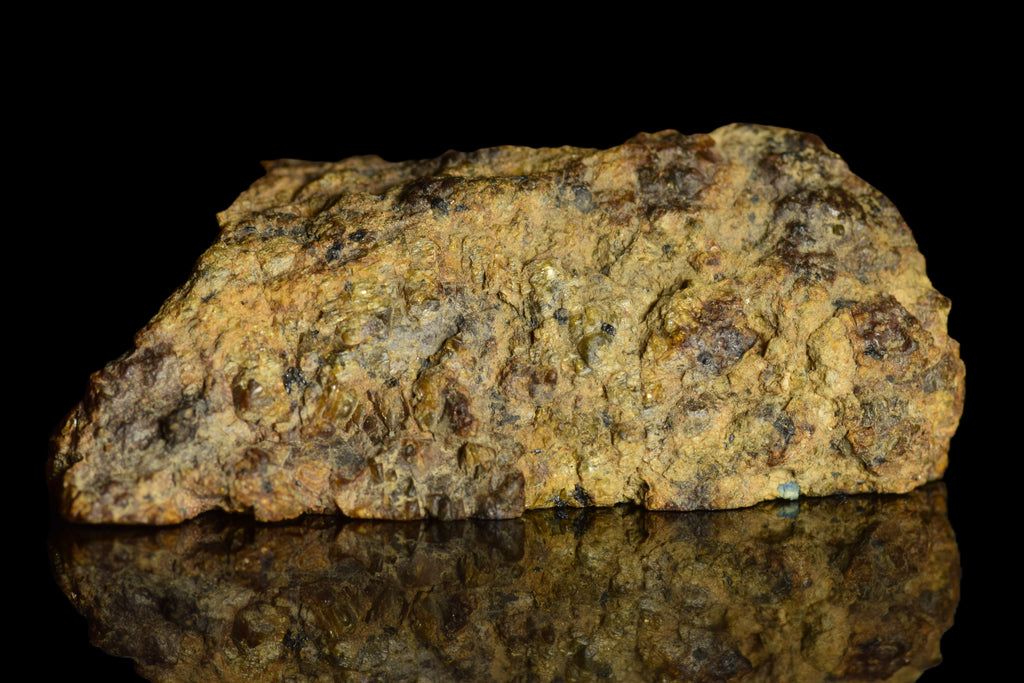 NWA 13692 Diogenite 32.96  G