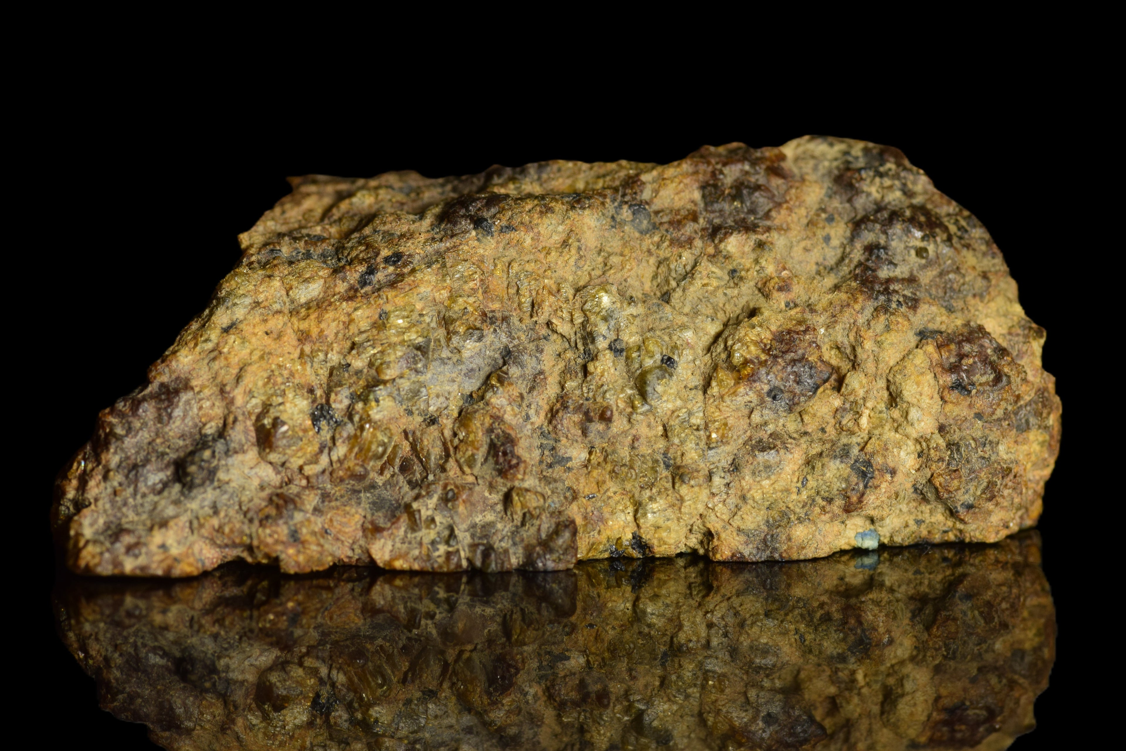 NWA 13692 Diogenite 32.96  G