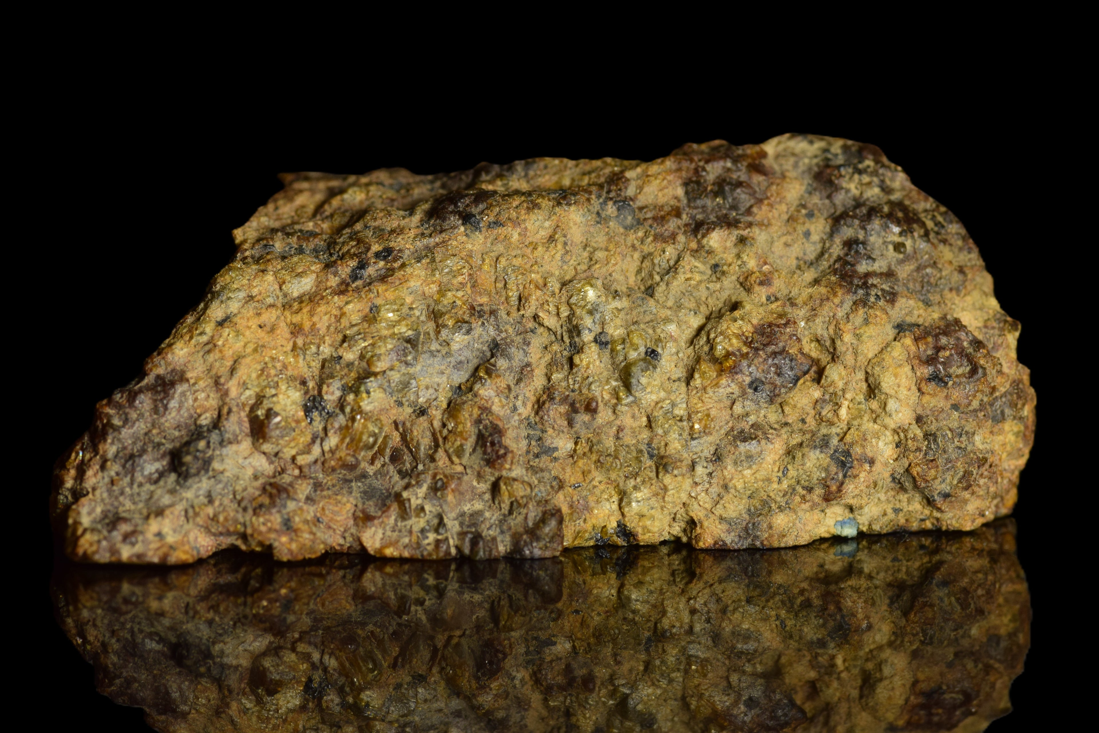 NWA 13692 Diogenite 32.96  G