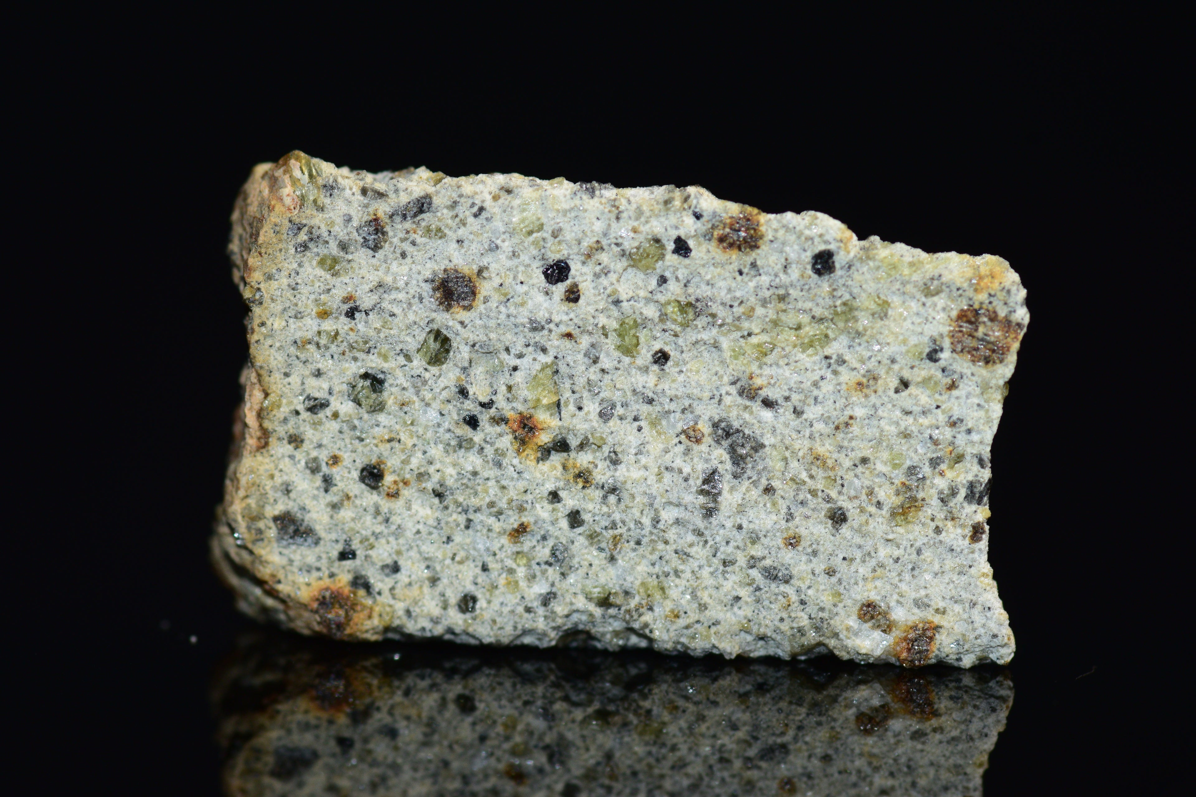 NWA 14868 Diogenite PM 1.0 G