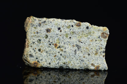 NWA 14868 Diogenite PM 1.0 G