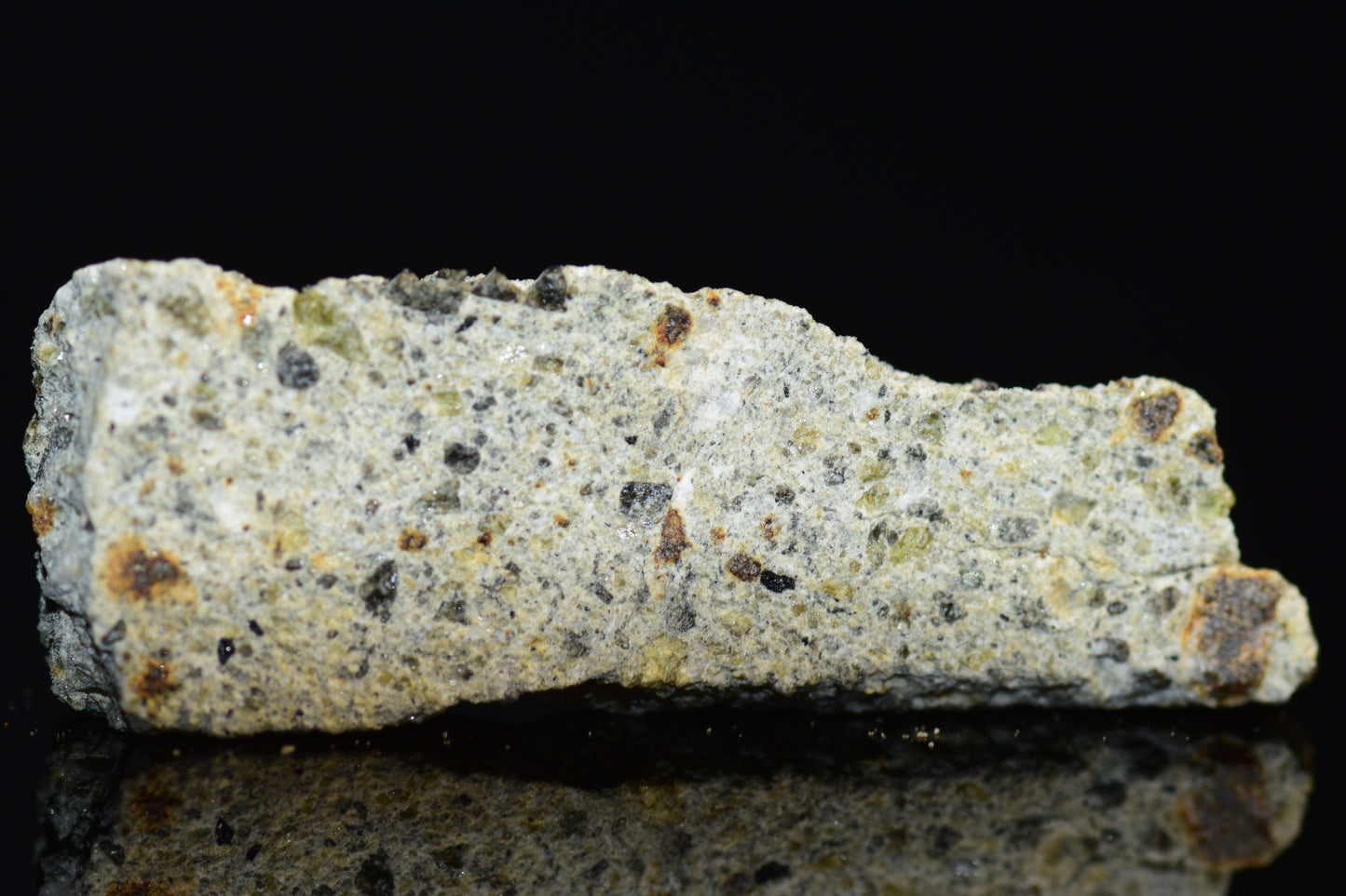 NWA 14868 Diogenite PM 0.8 G