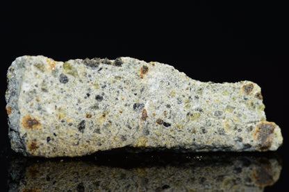 NWA 14868 Diogenite PM 0.8 G