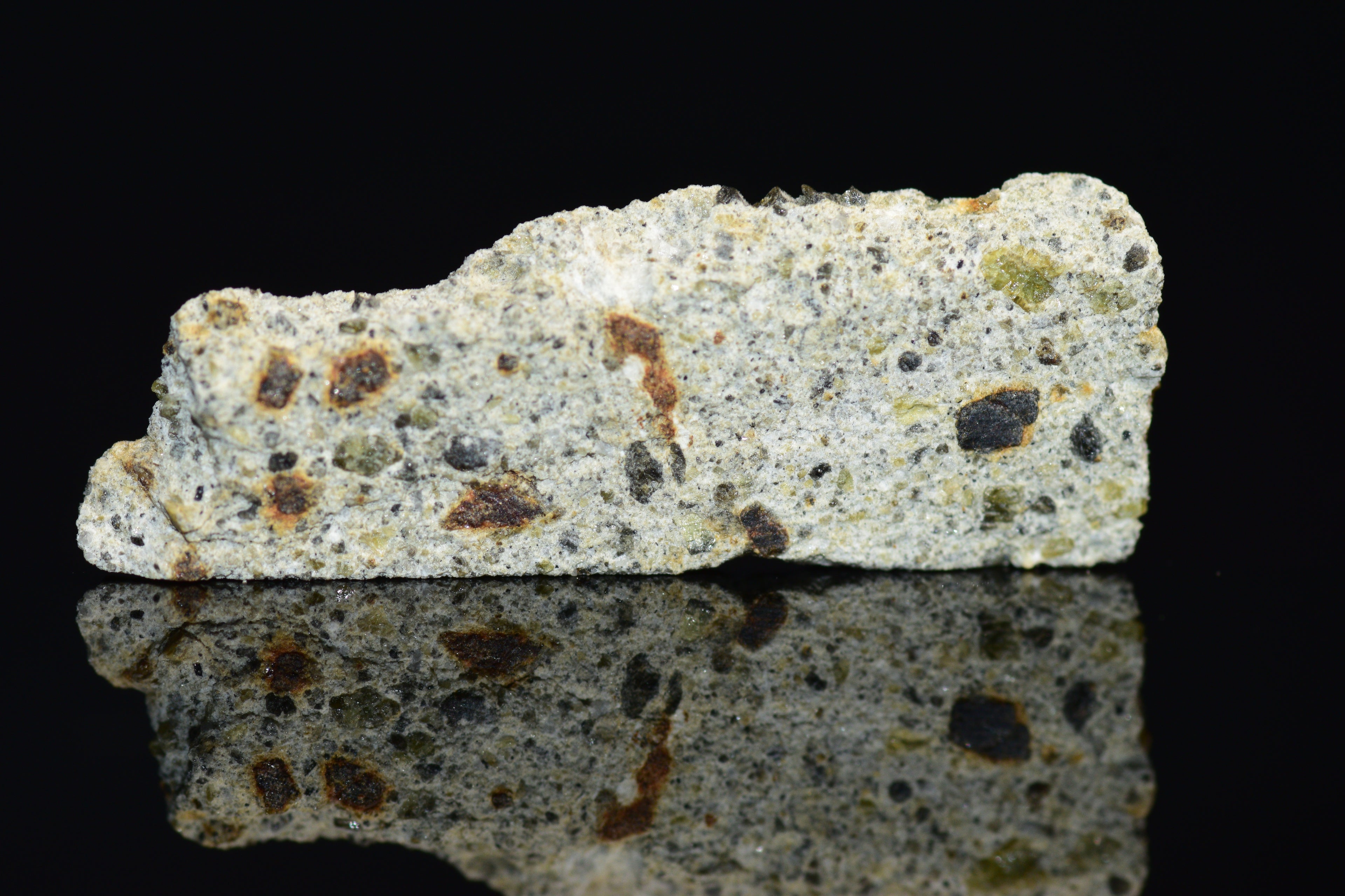 NWA 14868 Diogenite PM 0.8 G