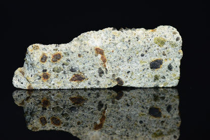 NWA 14868 Diogenite PM 0.8 G