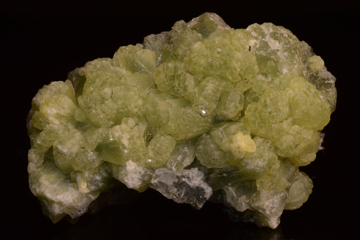 PREHNITE and ACTINOLITE – Boulemane, Morocco V