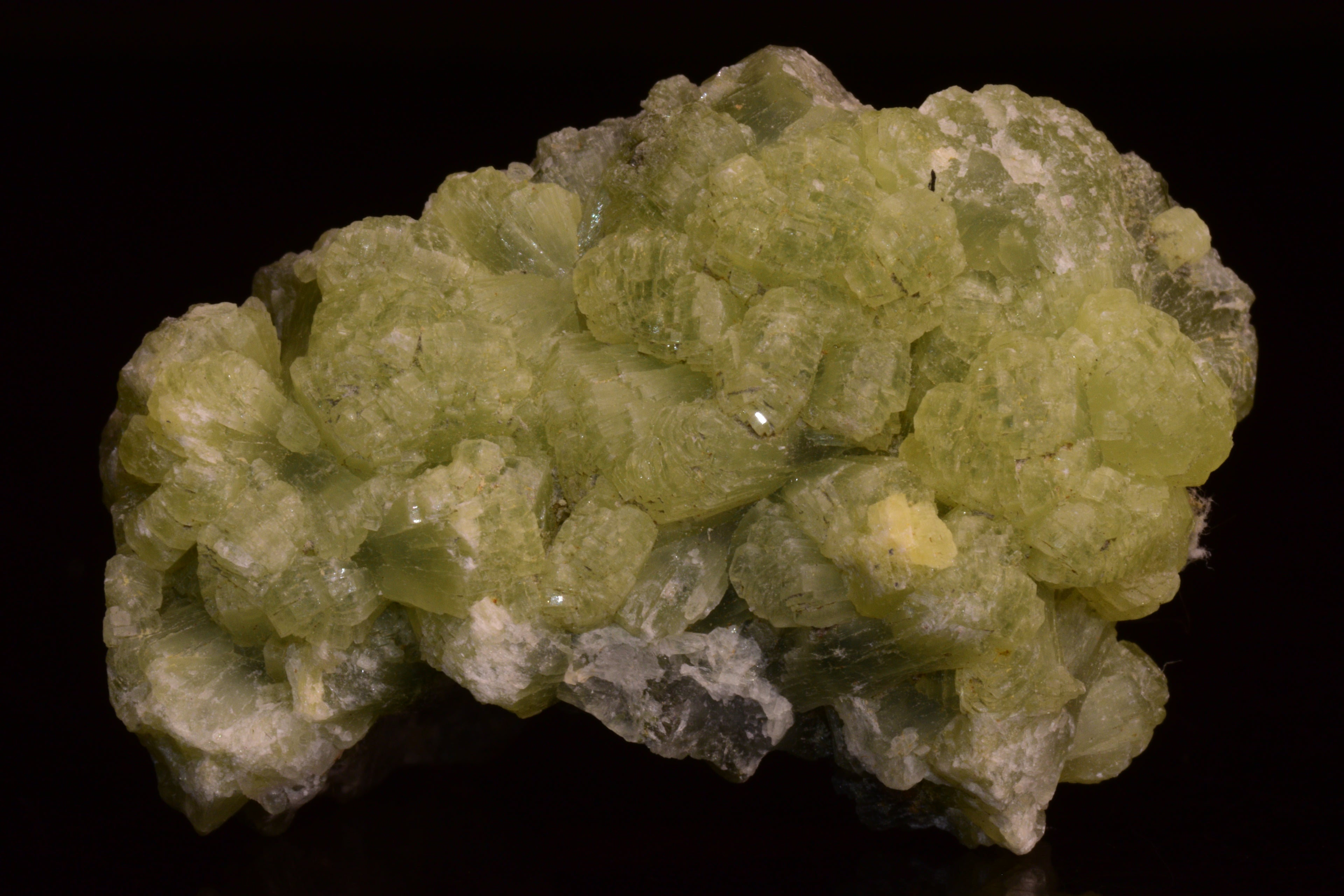 PREHNITE and ACTINOLITE – Boulemane, Morocco V