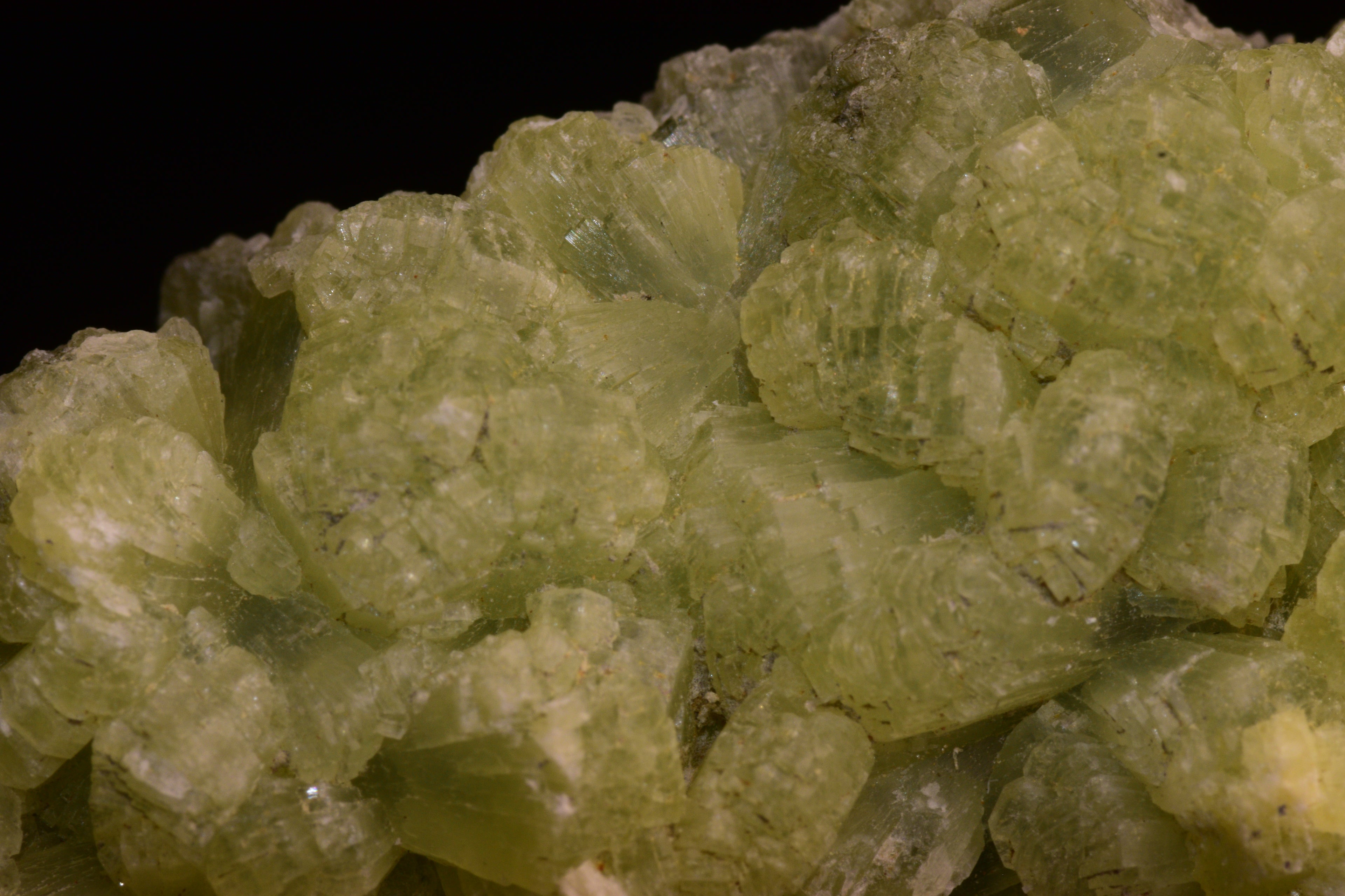 PREHNITE and ACTINOLITE – Boulemane, Morocco VV
