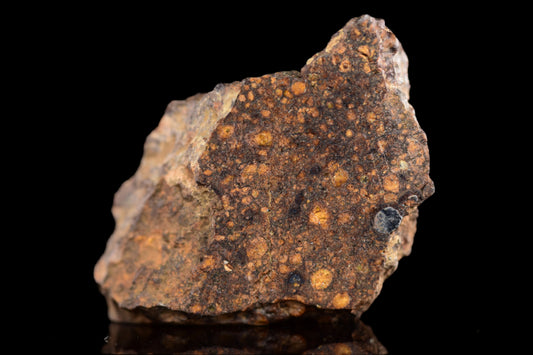 NWA 14870 CR2 Meteorite 4.8 G