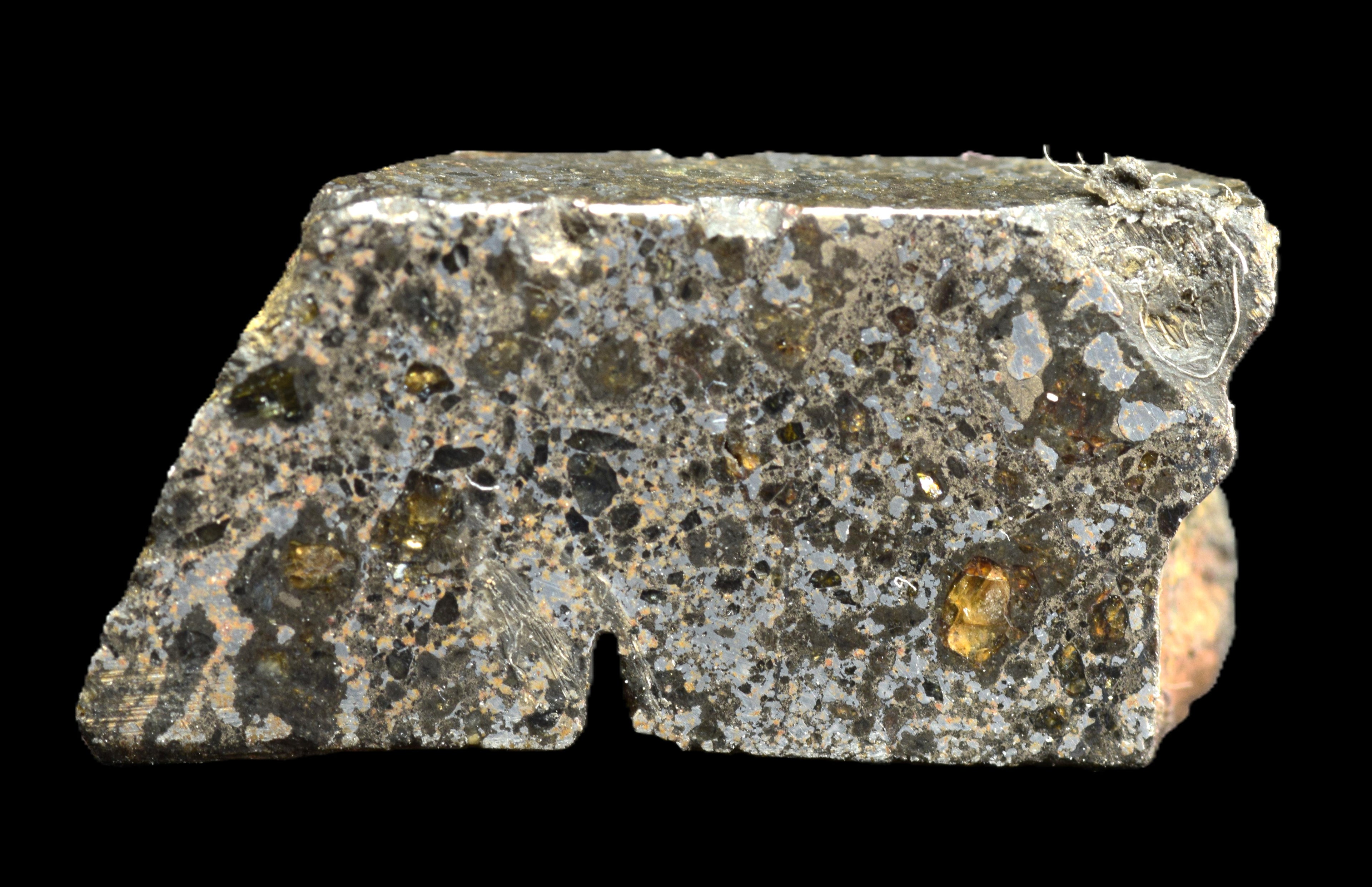 Talsint Mesosiderite Meteorite Slice – 2.36 g