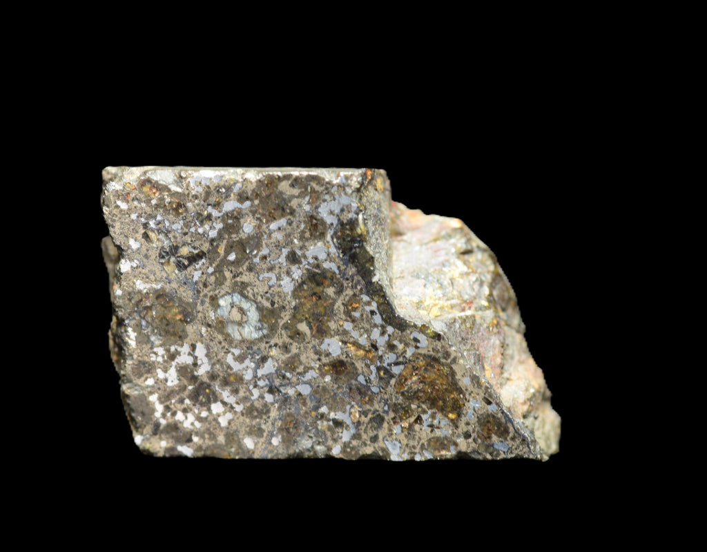 Talsint Mesosiderite Meteorite Slice – 0.99  g