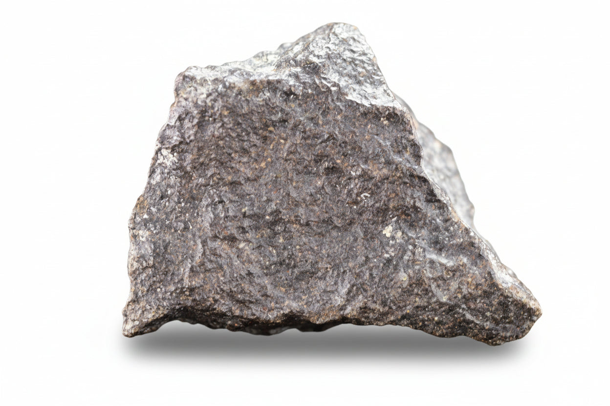 NWA 17489 (CO3.0) Carbonaceous Chondrite Meteorite