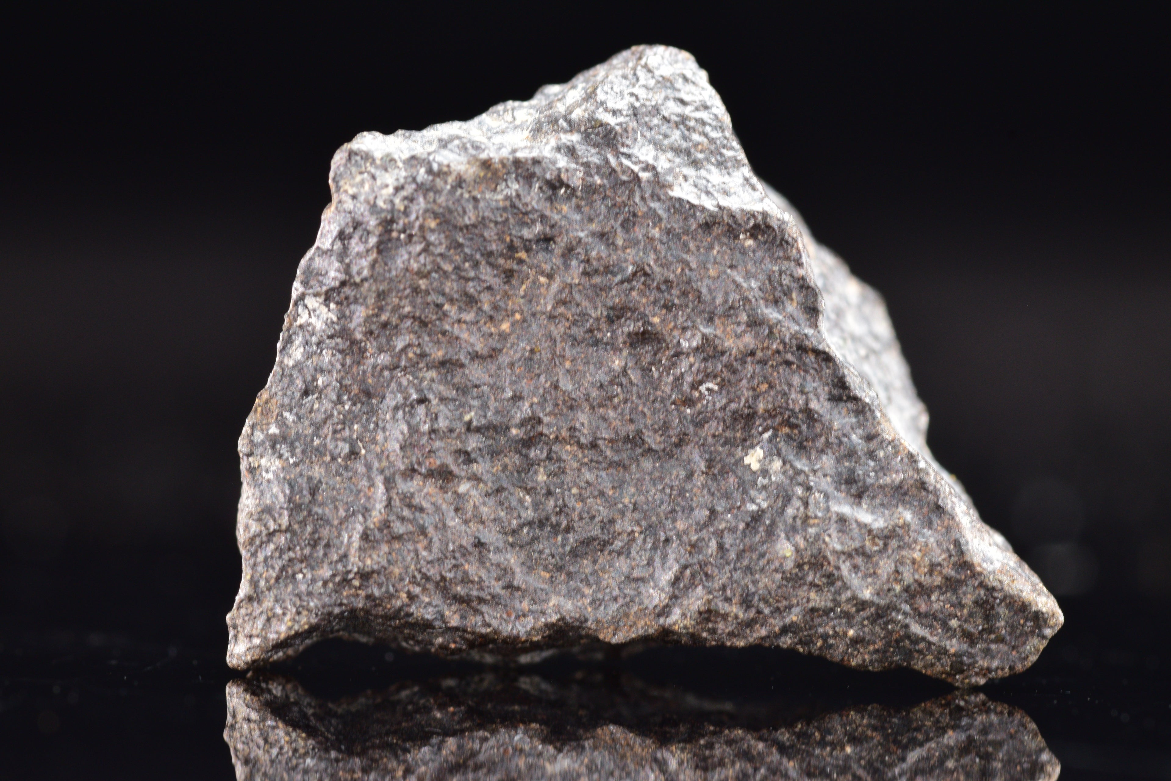 NWA 17489 (CO3.0) Carbonaceous Chondrite Meteorite