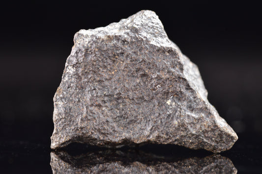 NWA 17489 (CO3.0) Carbonaceous Chondrite Meteorite