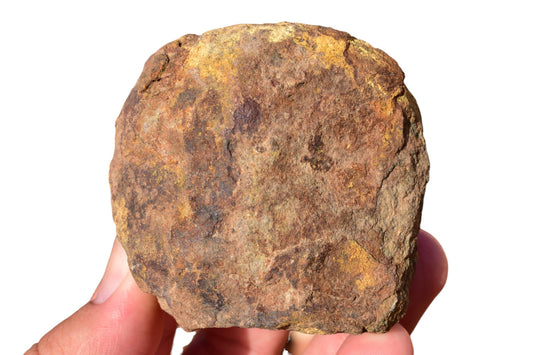 Al Haggounia 001 EL chondrite impact melt rock – front view