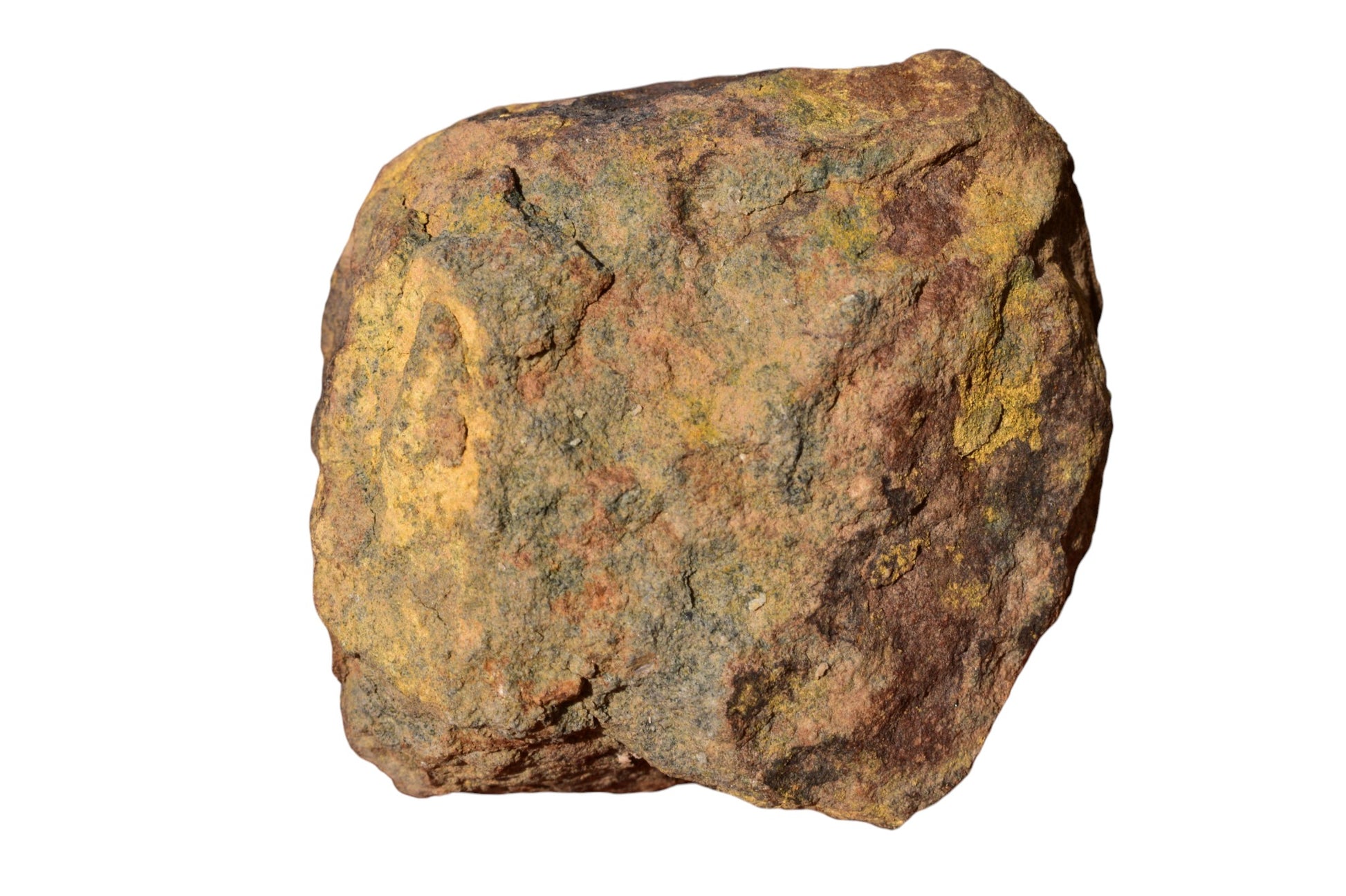 Al Haggounia 001 EL chondrite impact melt rock – hand scale view