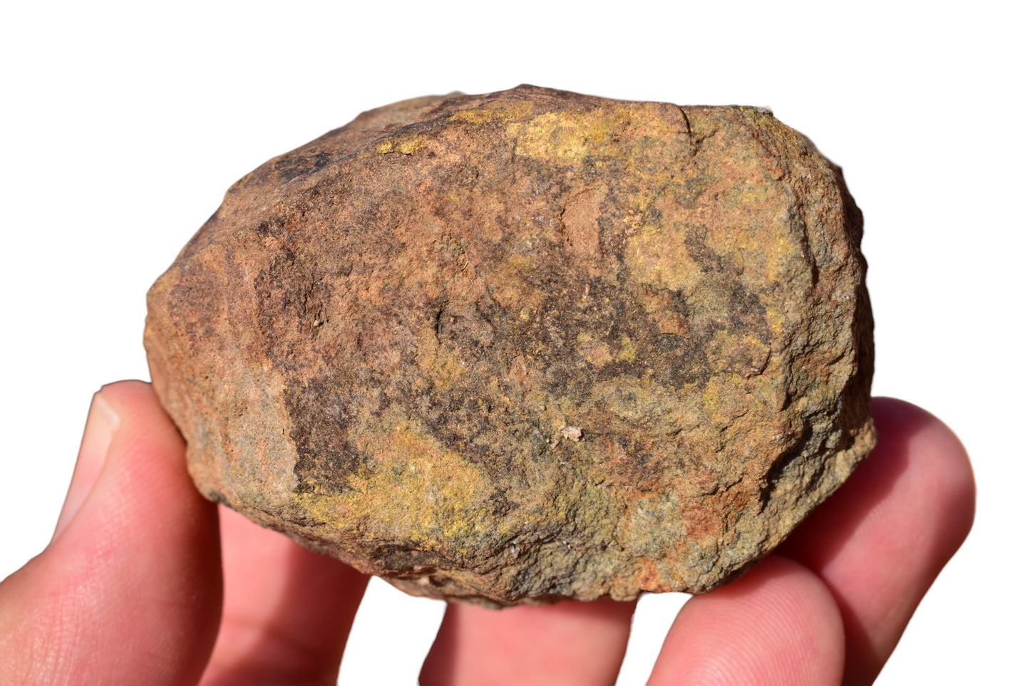 Al Haggounia 001 EL chondrite impact melt rock – face view in hand