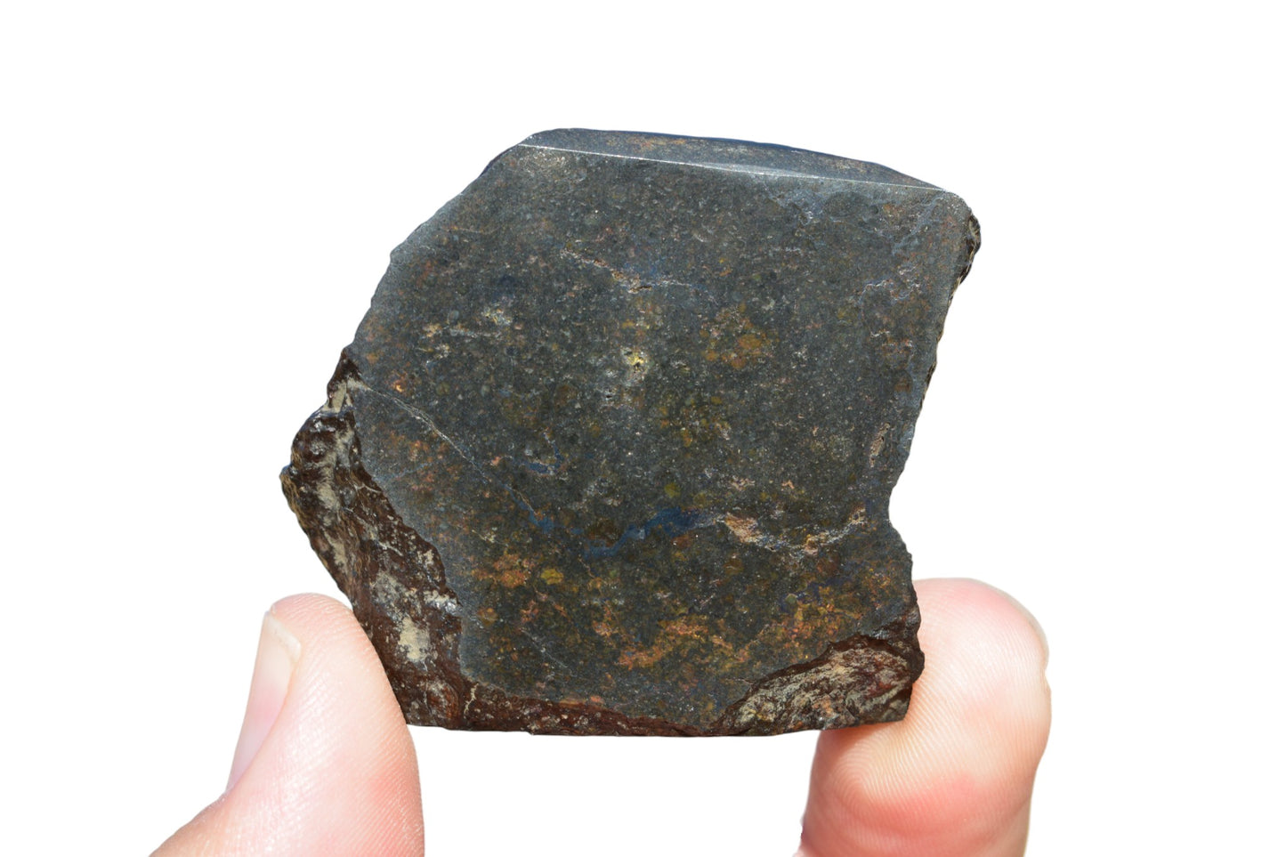 NWA 14886 certified meteorite – bottom view showing brownish matrix, MB 111 approved L3-melt breccia