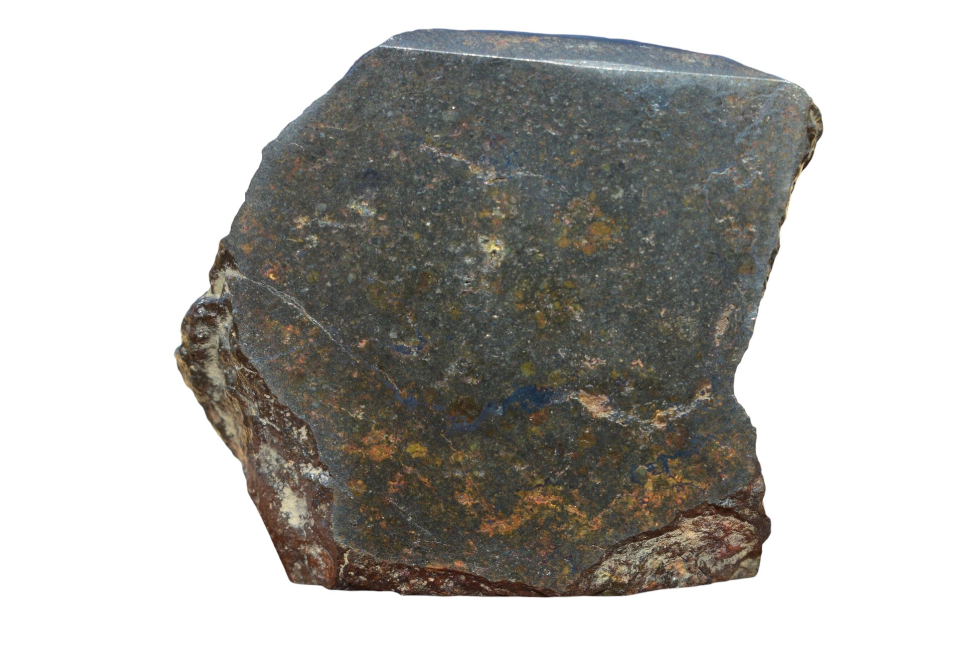 NWA 14886 rare L3-melt breccia meteorite main mass 65.9g – top face showing dark chondritic matrix