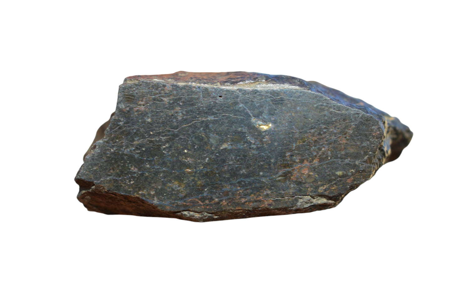 NWA 14886 – L3-Melt Breccia Chondrite Main Mass 65.9g