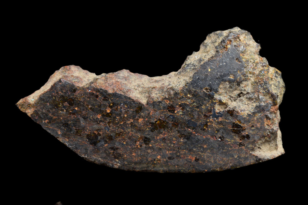 NWA 11756 Brachnite 1.30 G
