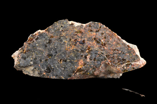 NWA 11756 Brachnite 1.32 G 