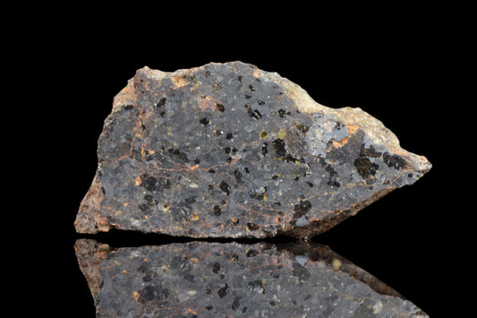 NWA 11756 Brachnite 1.52 G