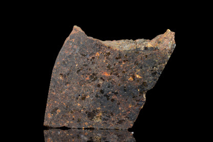 NWA 11756 Brachnite 2.86 G