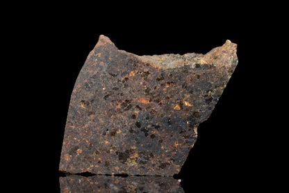 NWA 11756 Brachnite 2.86 G