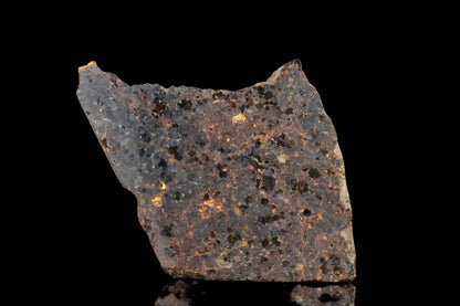 NWA 11756 Brachnite 2.86 G