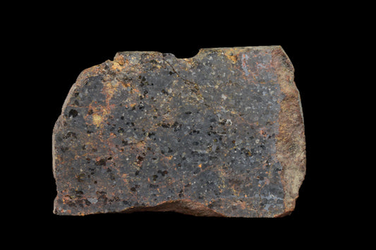 NWA 11756 Brachnite 5.98 G