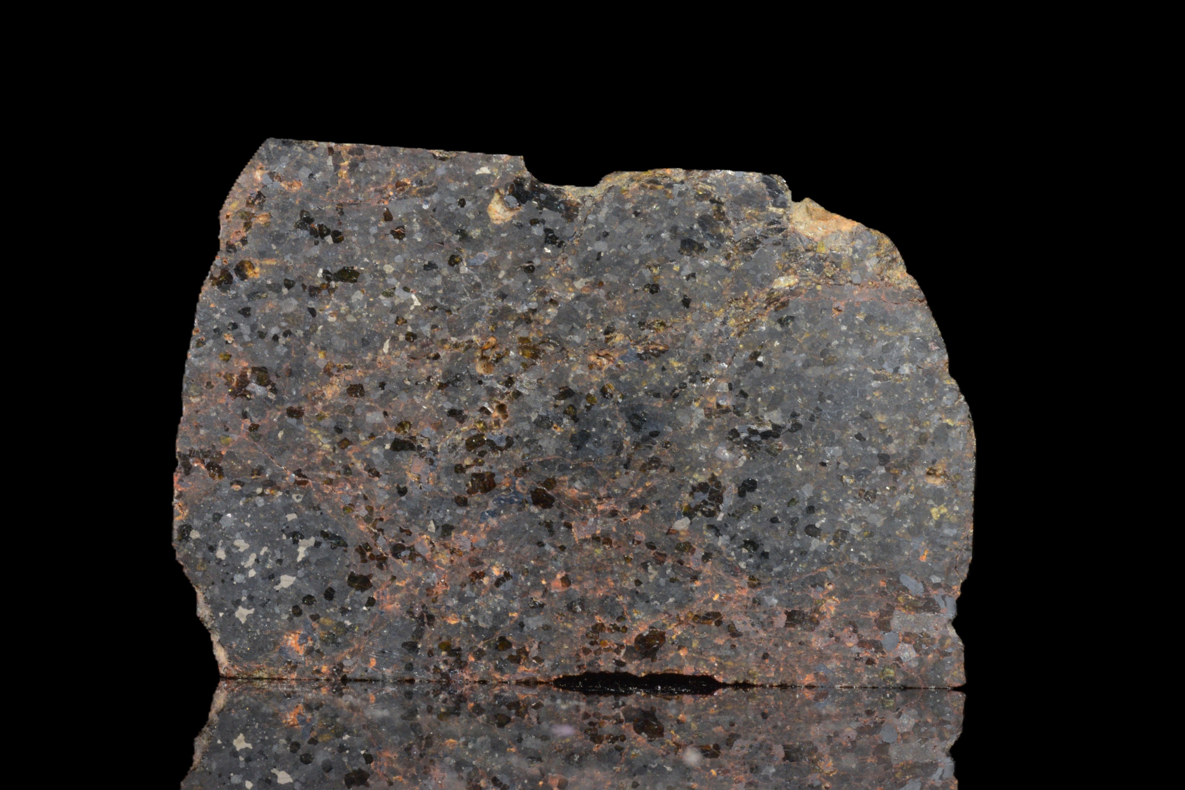 NWA 11756 Brachnite 5.98 G