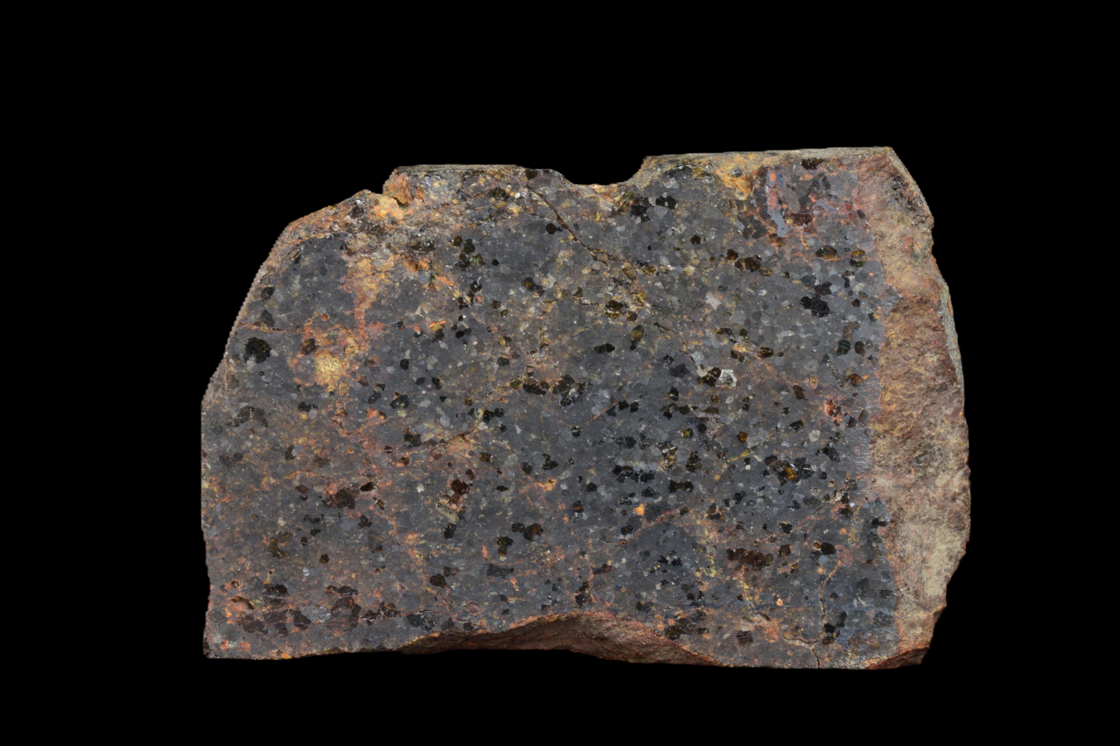 NWA 11756 Brachnite 5.98 G