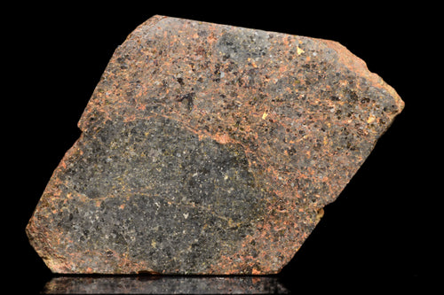 NWA 11756 – Rare Brachinite Meteorite