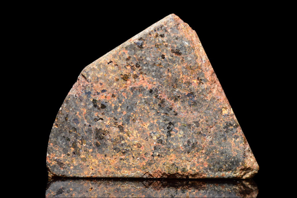 NWA 11756 – Rare Brachinite Meteorite