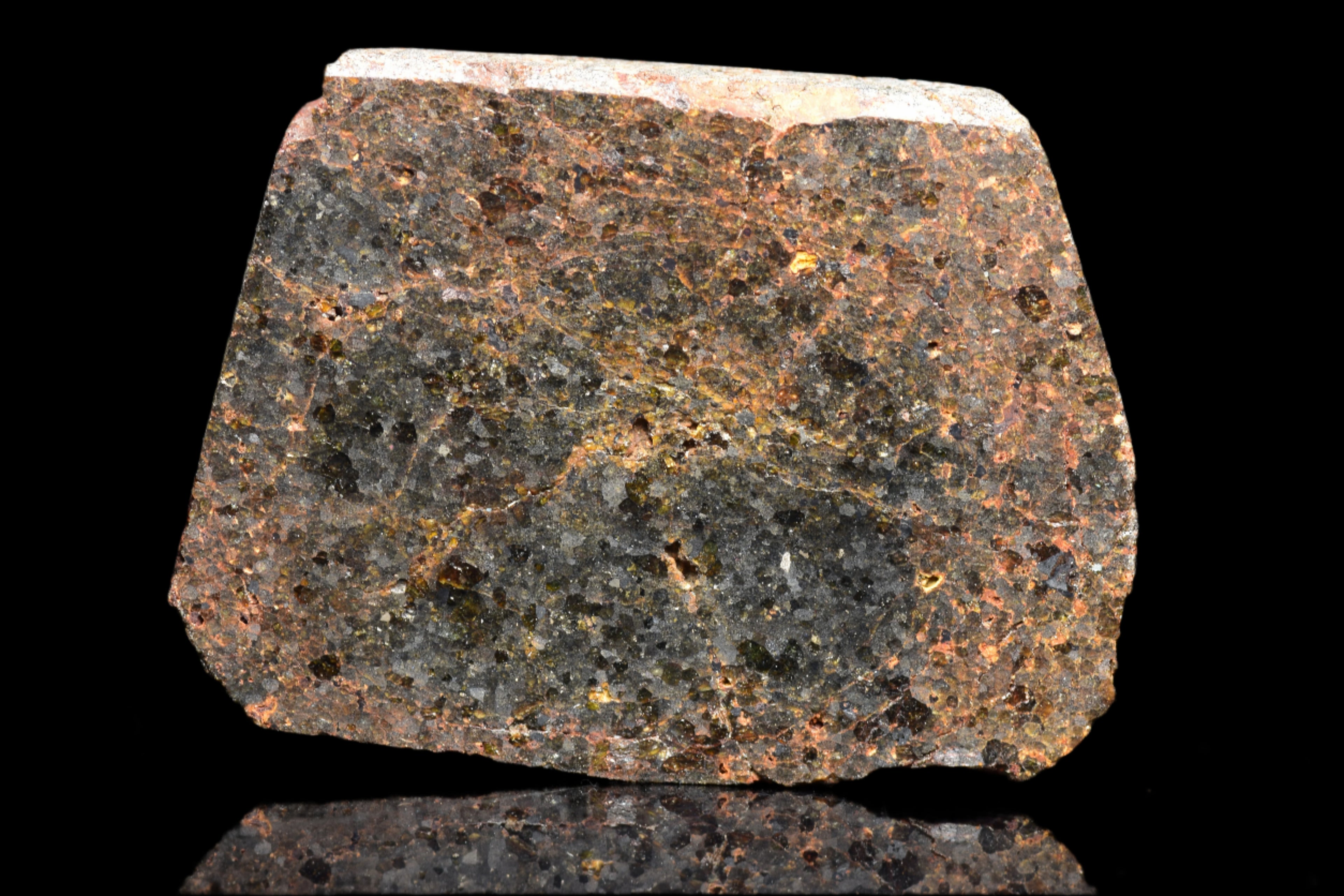 NWA 11756 – Rare Brachinite Meteorite