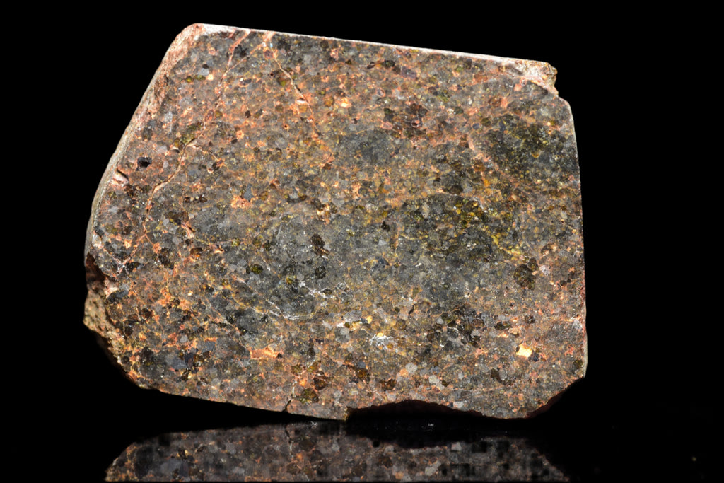 NWA 11756 – Rare Brachinite Meteorite