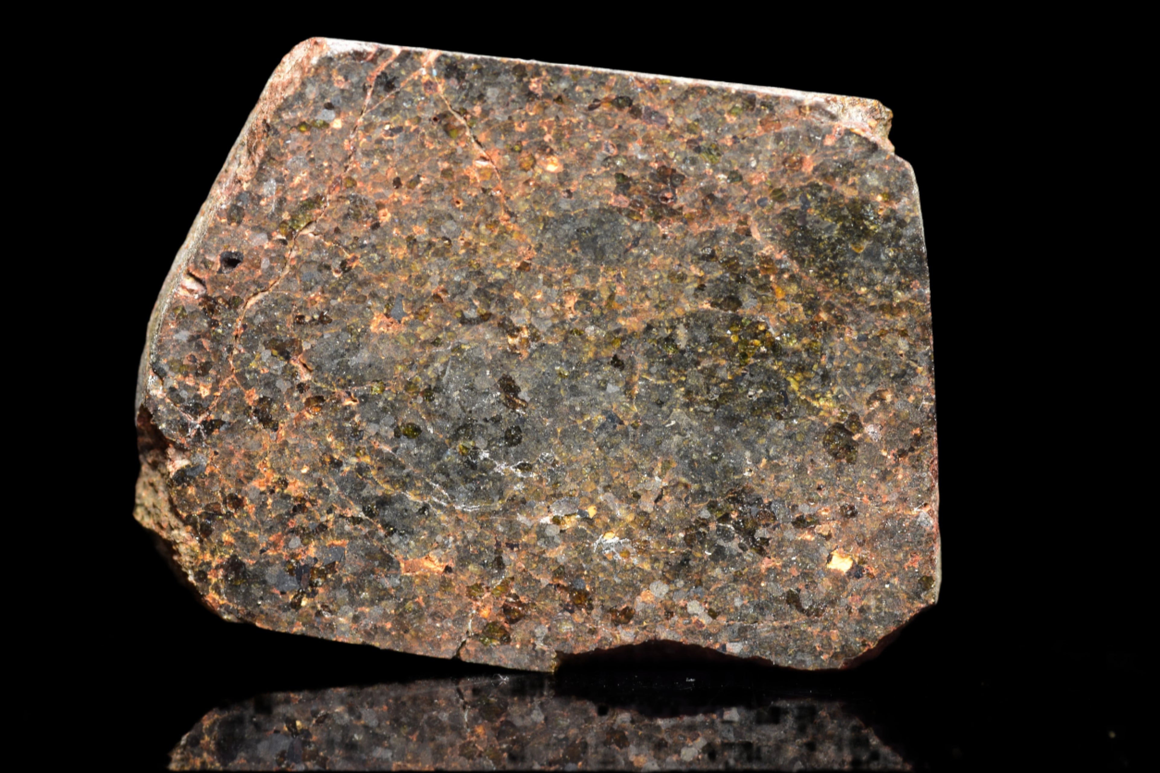 NWA 11756 – Rare Brachinite Meteorite