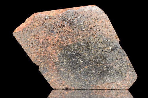 NWA 11756 – Rare Brachinite Meteorite