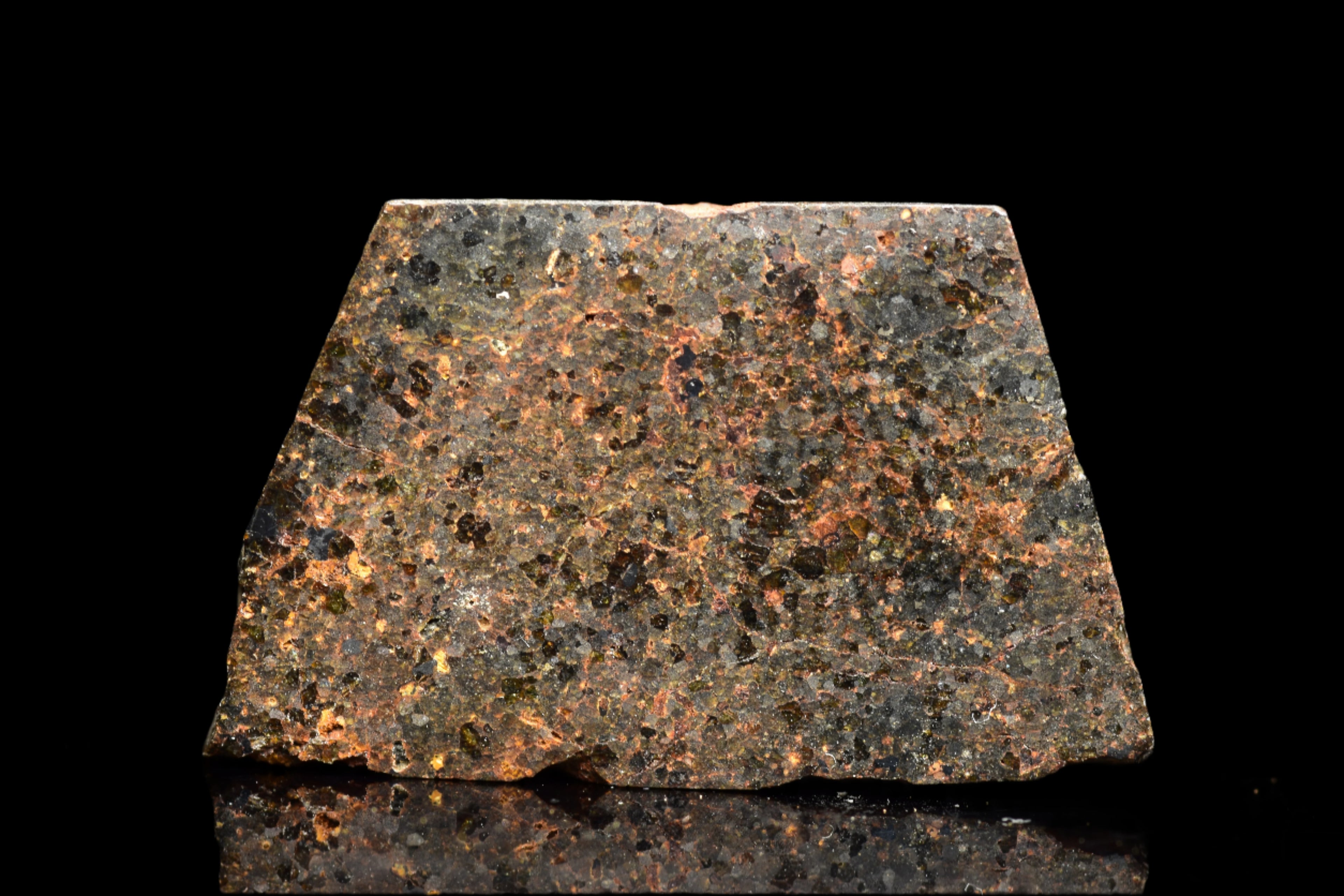 NWA 11756 – Rare Brachinite Meteorite