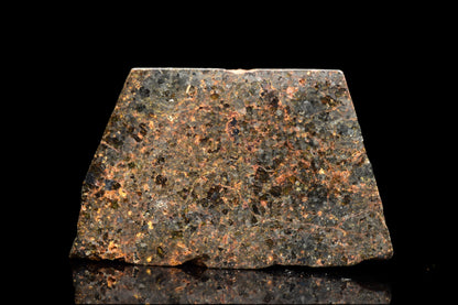 NWA 11756 Brachnite 3.31 G.