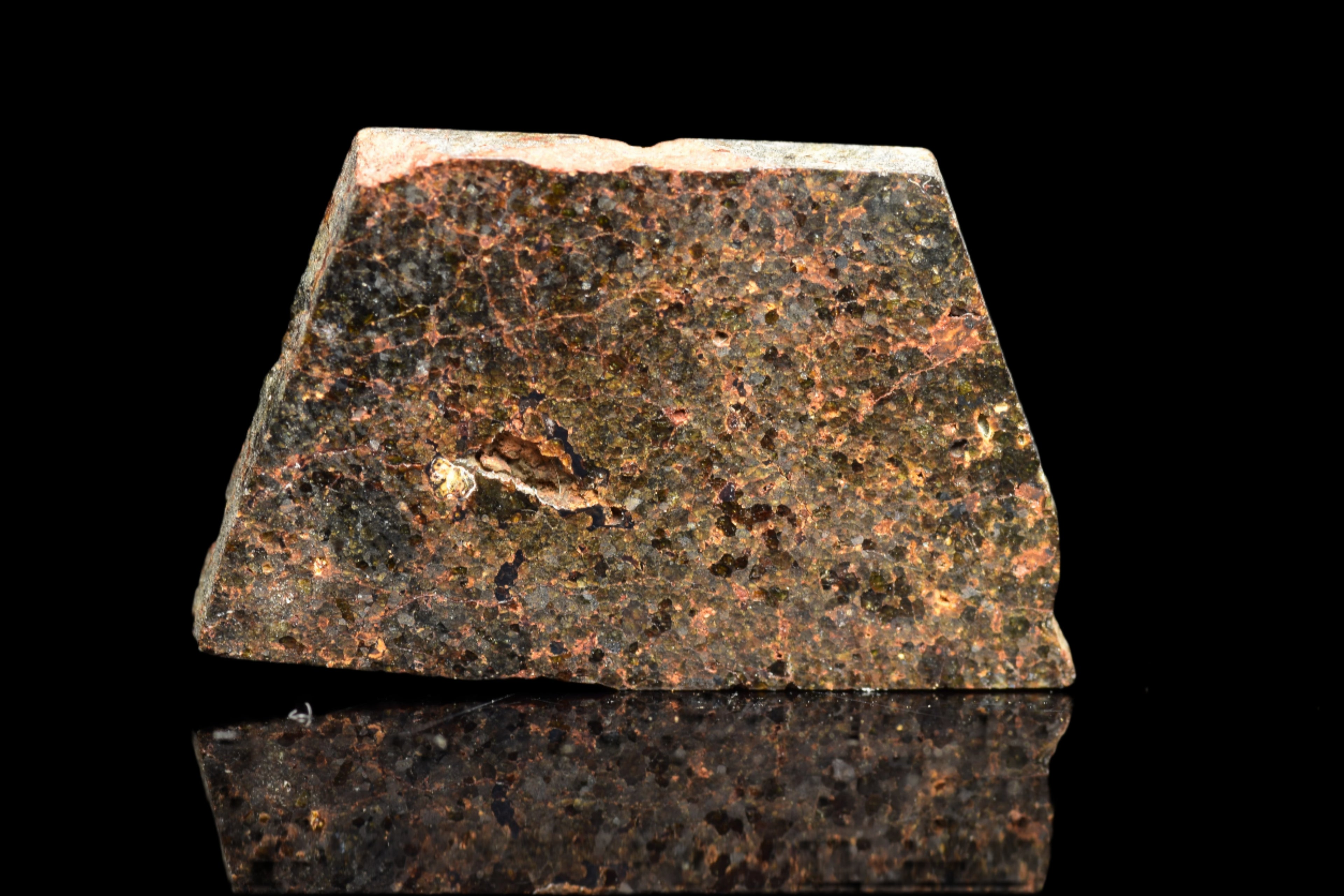 NWA 11756 – Rare Brachinite Meteorite