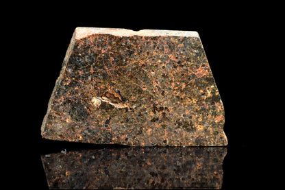 NWA 11756 Brachnite 3.31 G.