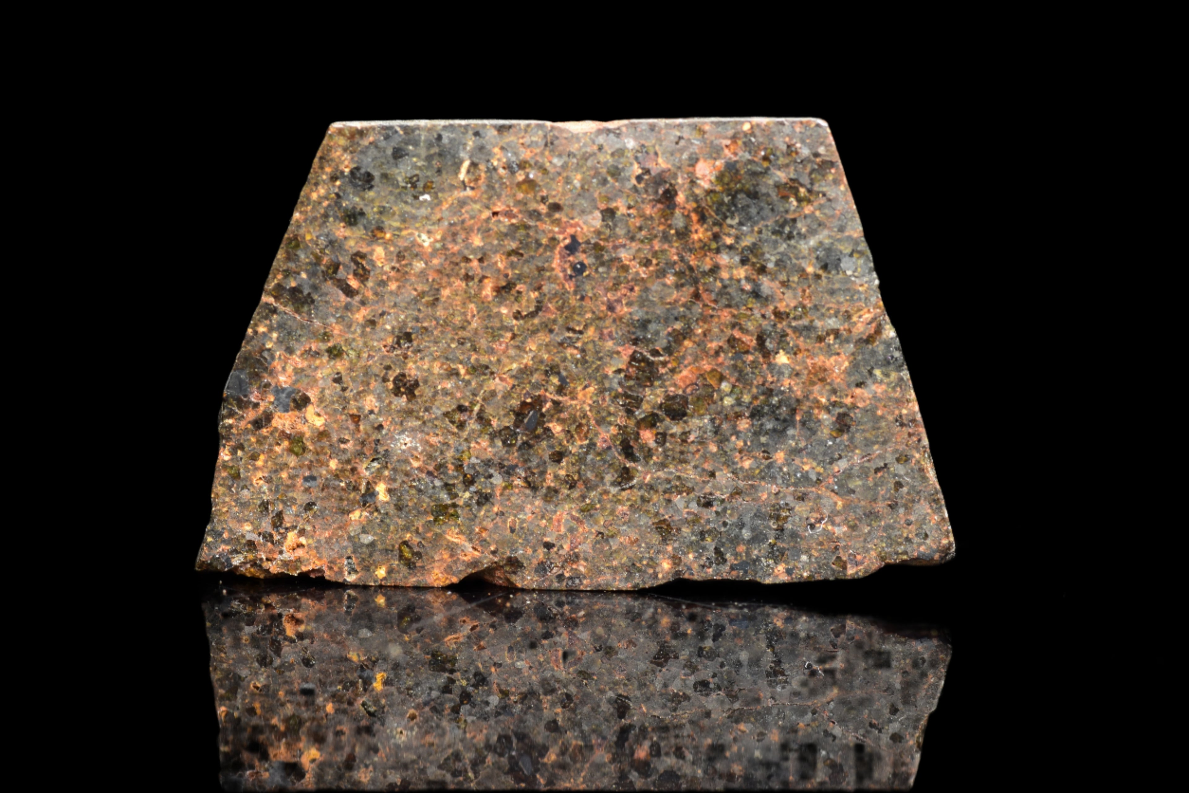 NWA 11756 – Rare Brachinite Meteorite