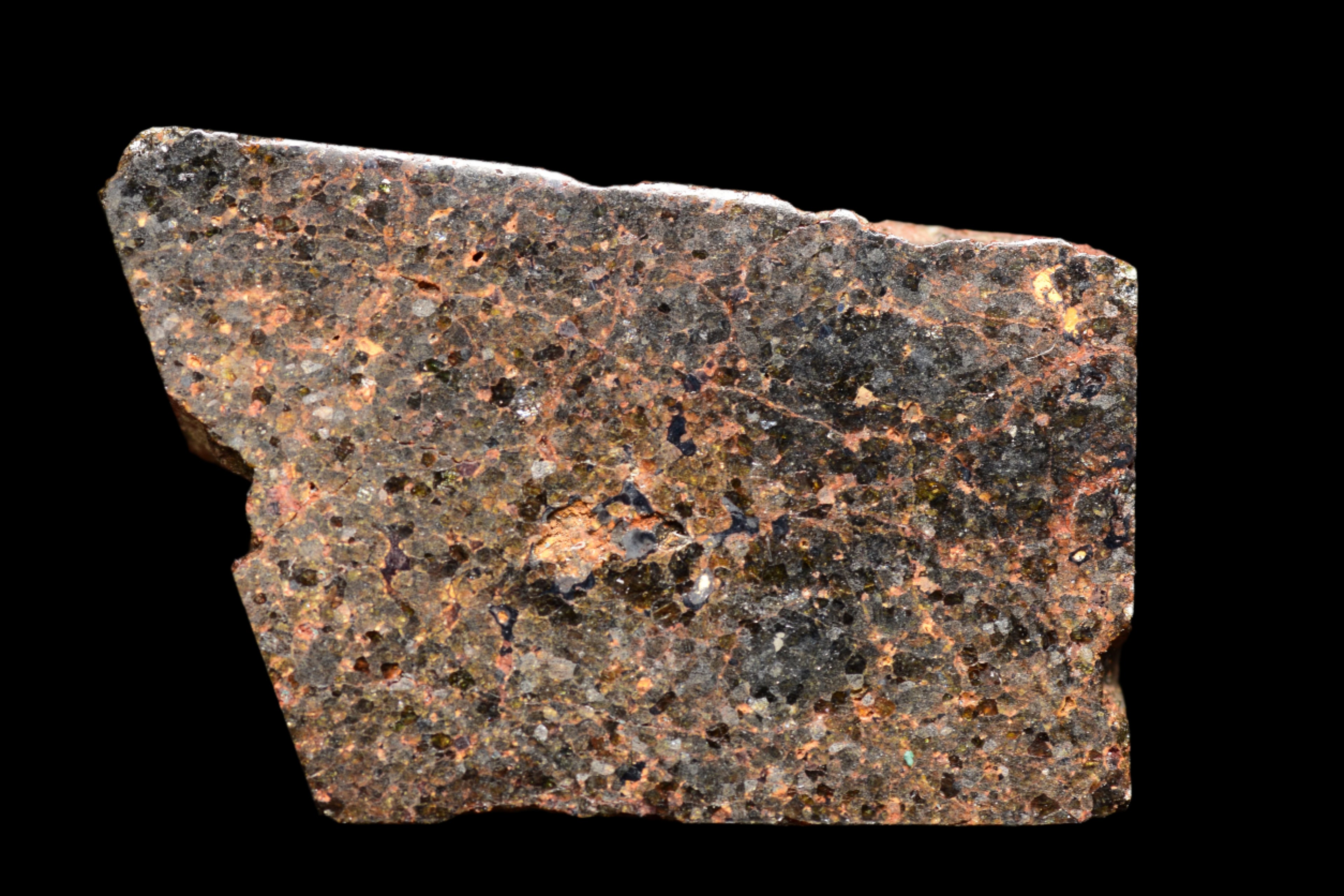 NWA 11756 – Rare Brachinite Meteorite