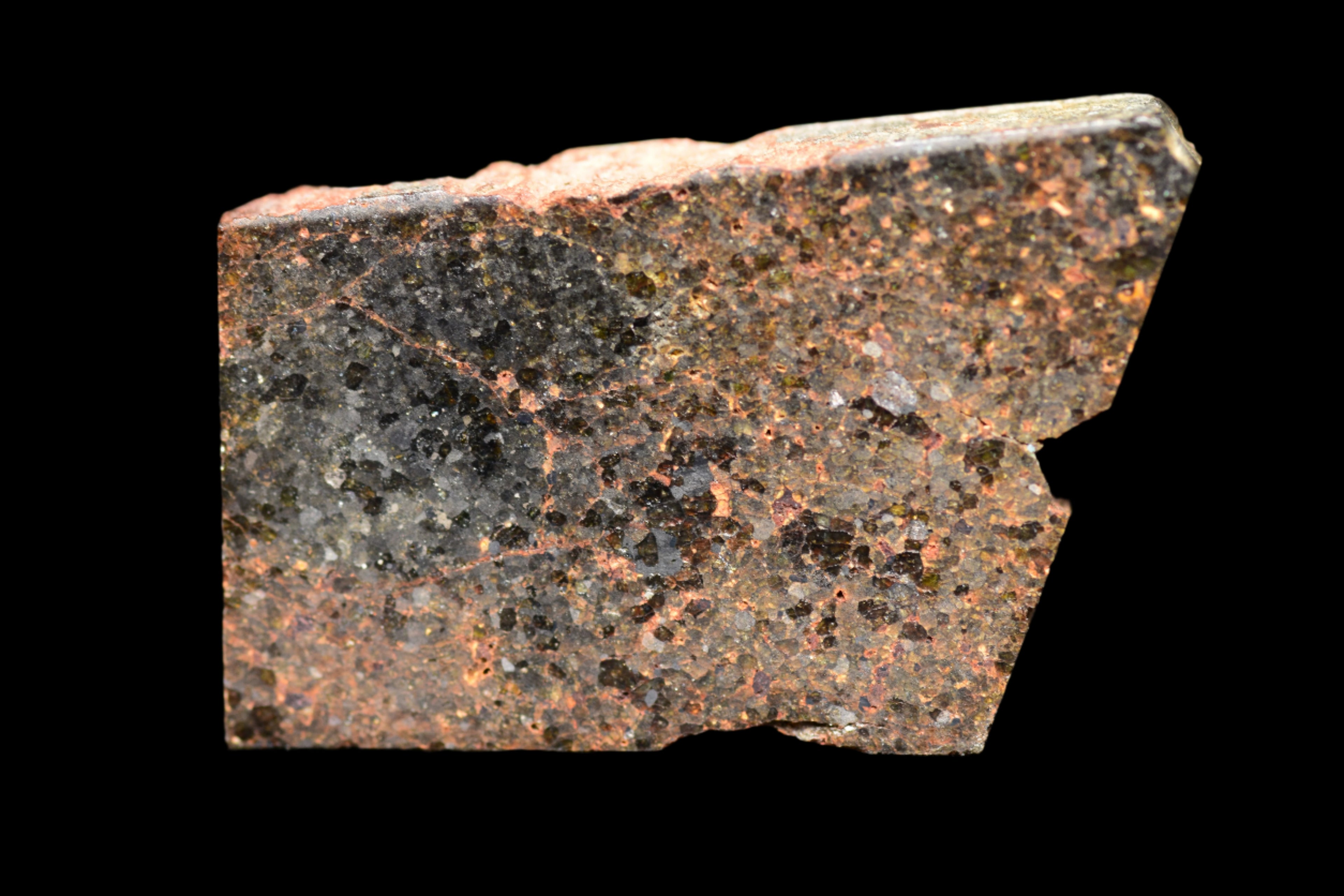 NWA 11756 – Rare Brachinite Meteorite