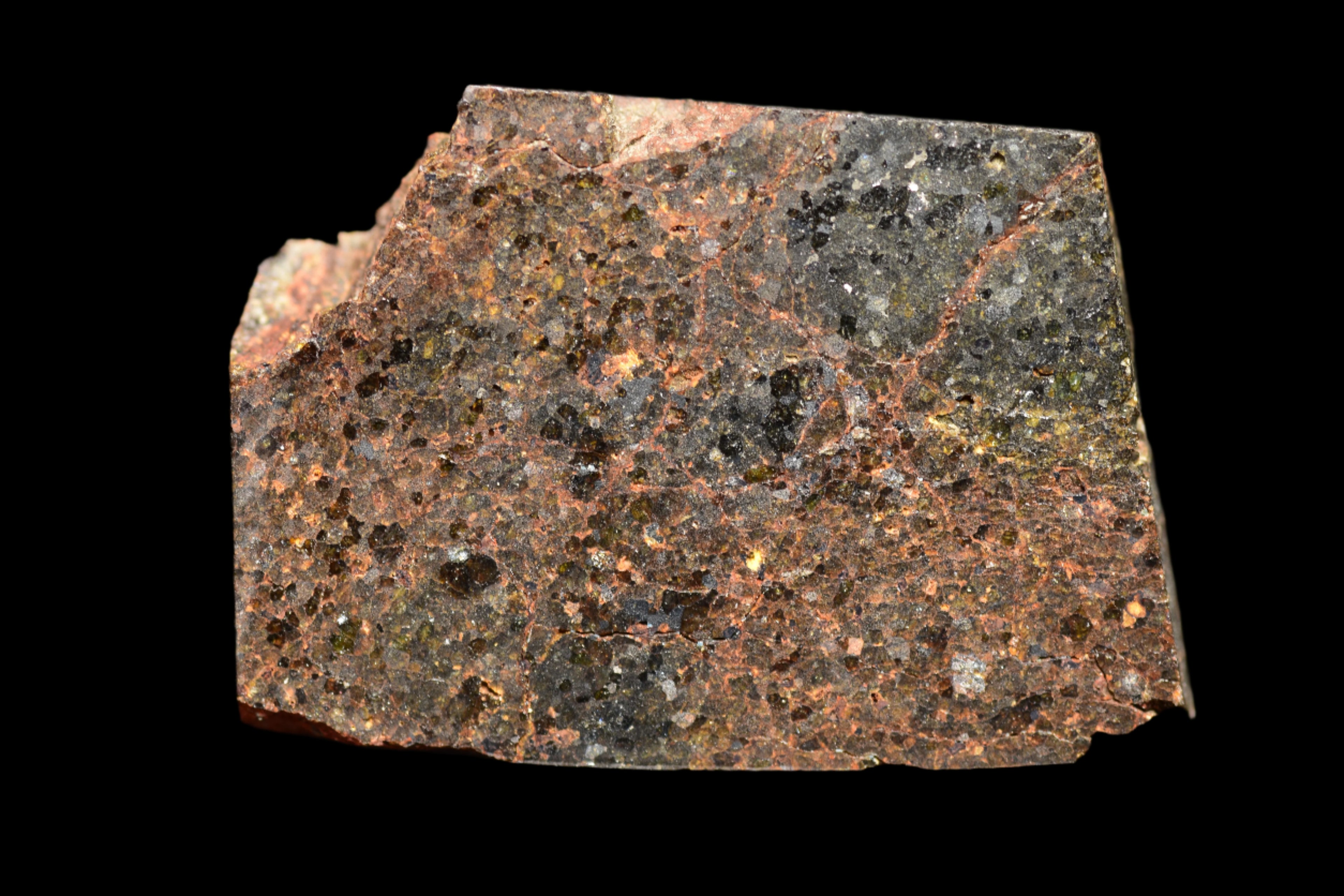 NWA 11756 – Rare Brachinite Meteorite