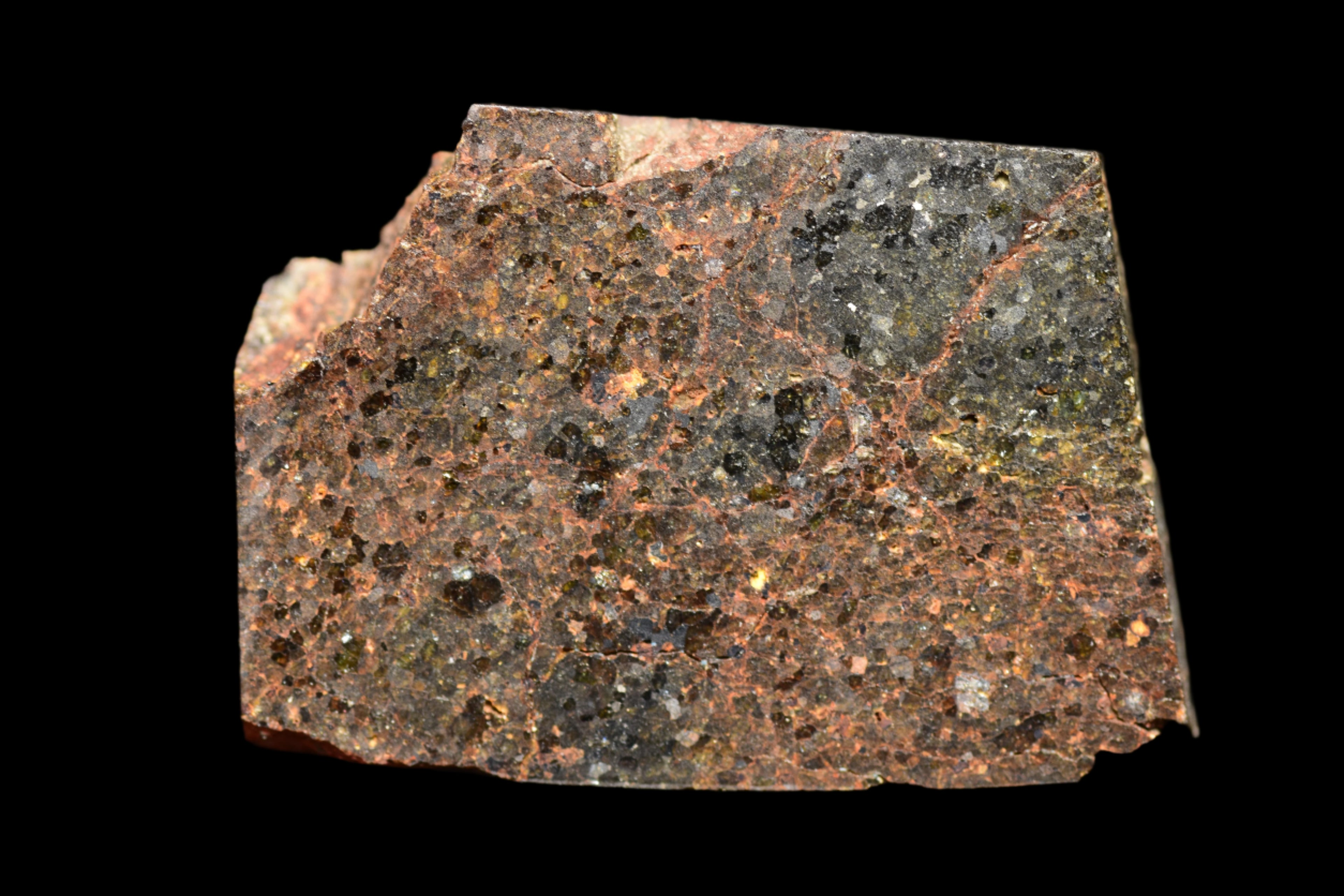 NWA 11756 – Rare Brachinite Meteorite