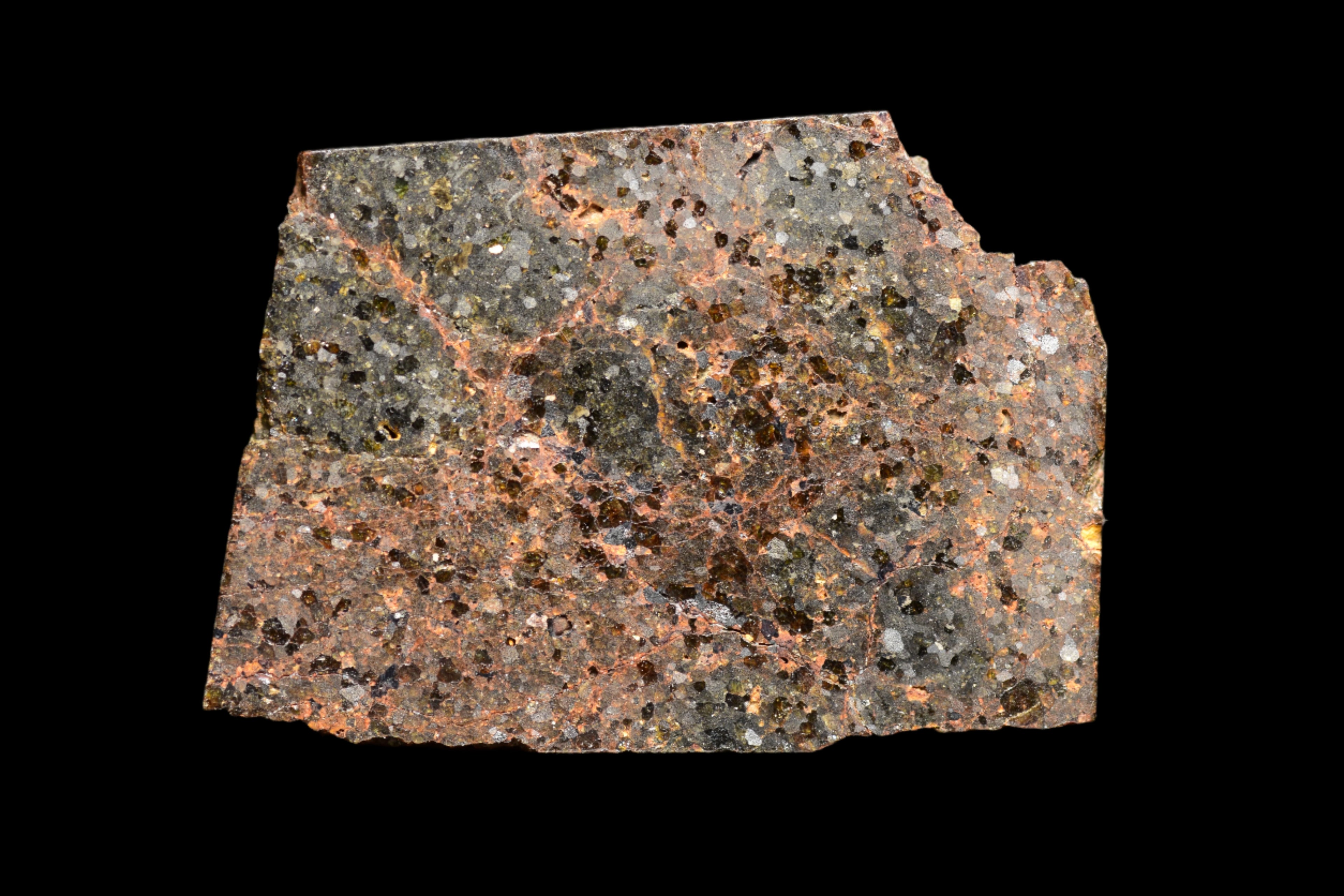 NWA 11756 – Rare Brachinite Meteorite